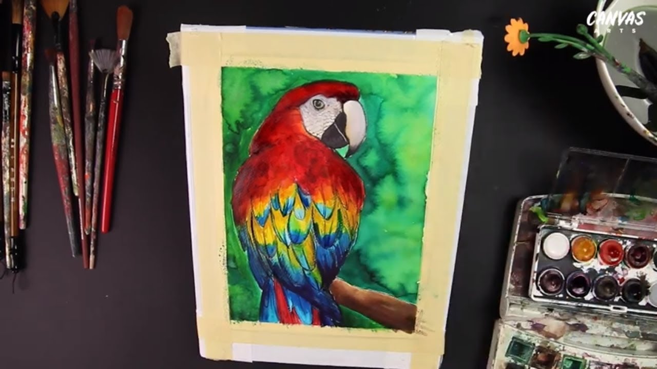 How to draw and paint a parrot