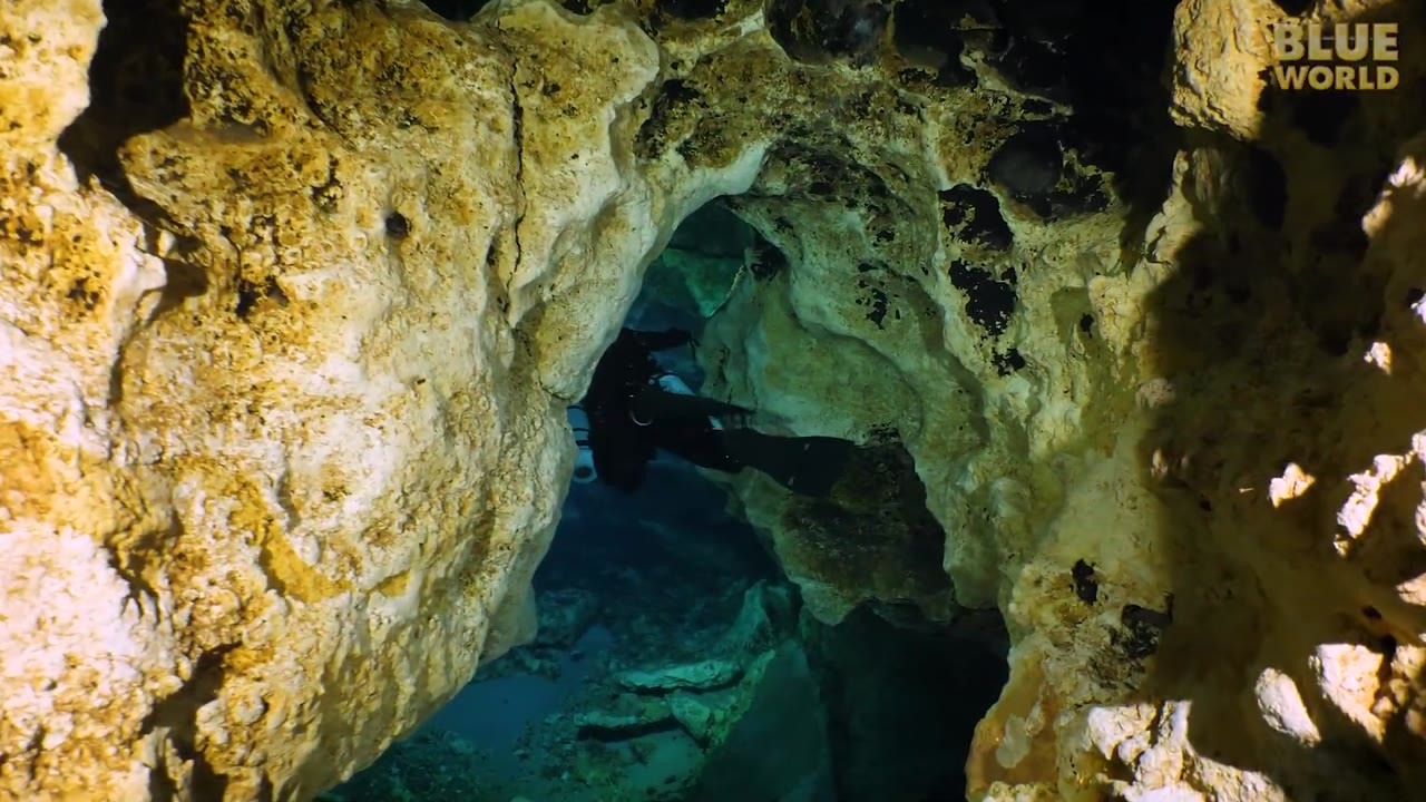 The flow is stronger than it looks—divers had to kick hard just to move ...