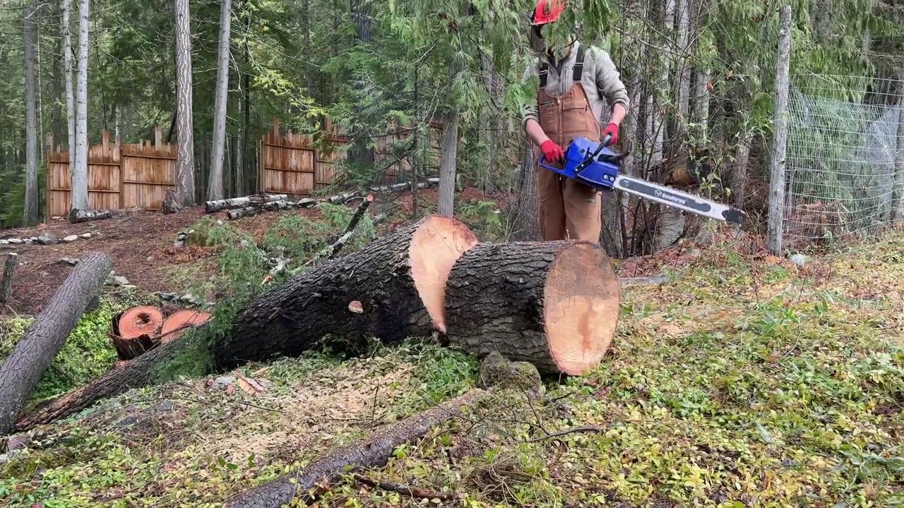 A Storm Knocked Down Trees on Their 15-Acre Property… Then Realized the ...