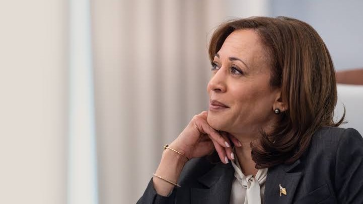 Kamala Harris became a viral pop-culture icon overnight - the strategy ...