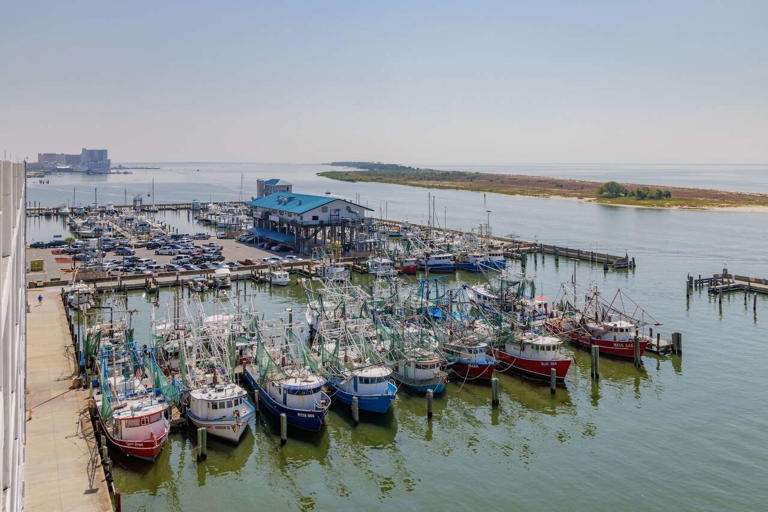 Trump administration vows to bring 'common sense' back to fishing laws