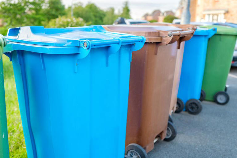 Binman shares the recycling mistake many make with everyday item - 'Don ...