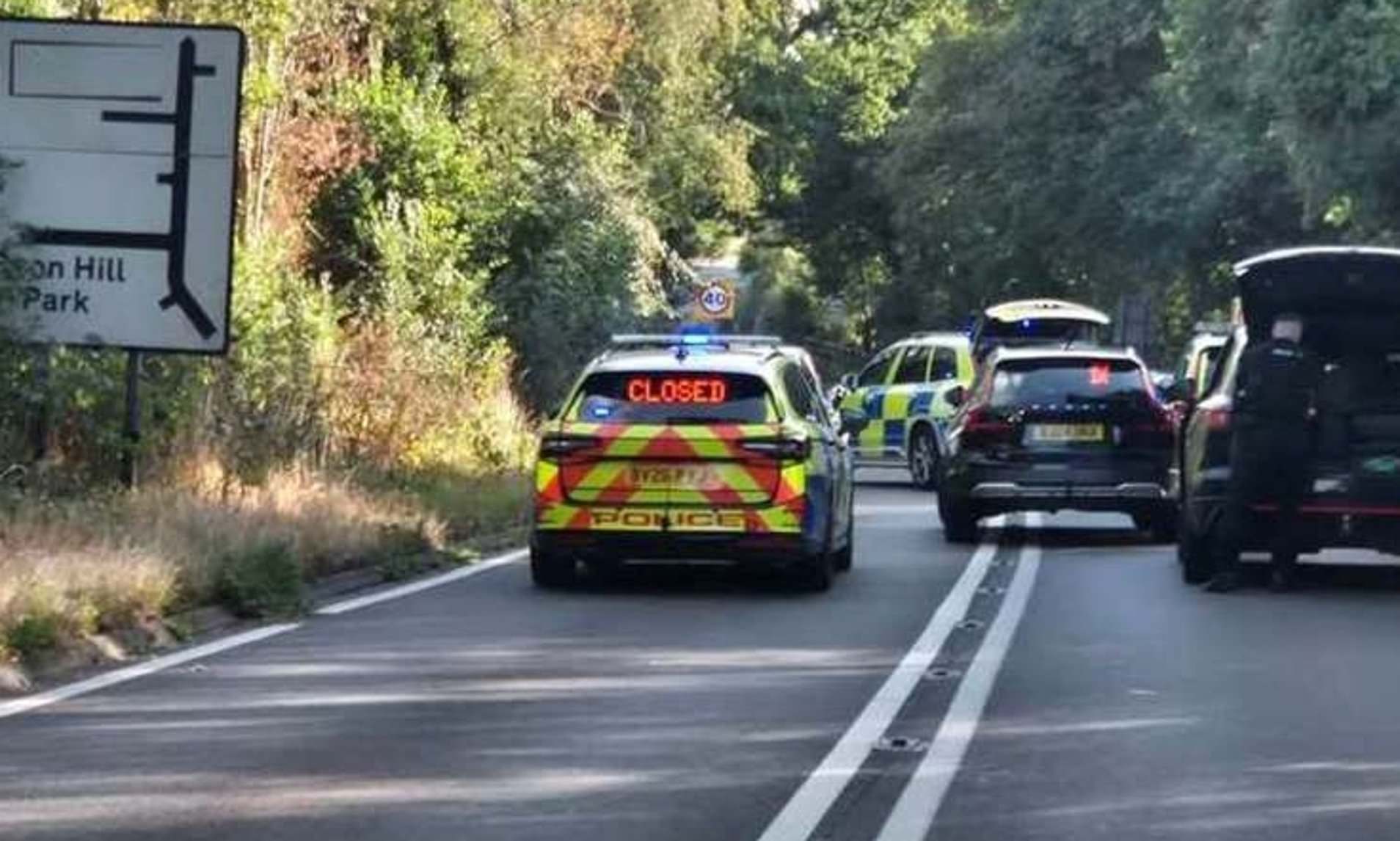 Woman, 62, dies after Audi that had been chased by police for six minutes crashed into her car