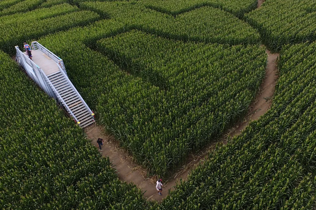 'Our hope remains simple': Indiana corn maze addresses backlash over ...