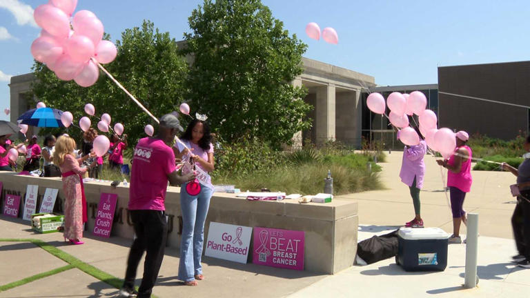 Mississippi joins national movement to end breast cancer