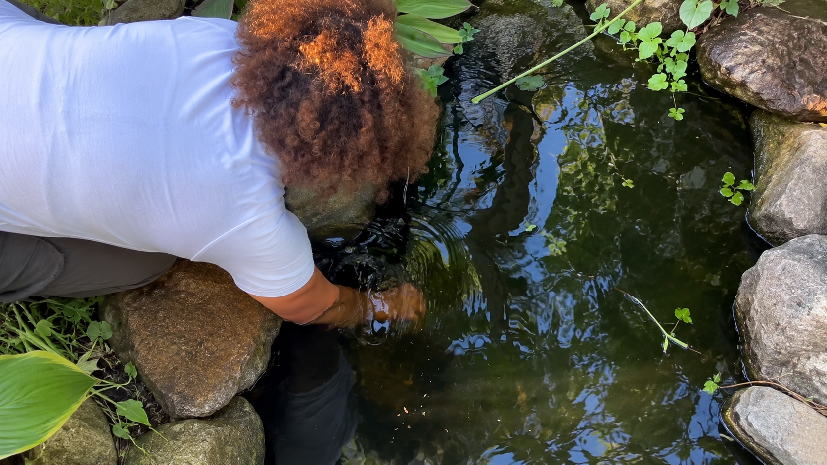 He reached into his fish pond expecting to grab something small, then ...
