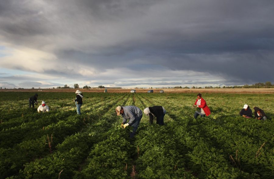 Colorado agricultural grants open for 2027 seasonal interns