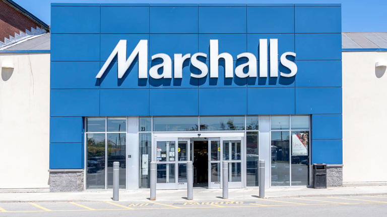 Silver Paw's softshell boots at Marshalls keep paws covered and visible ...