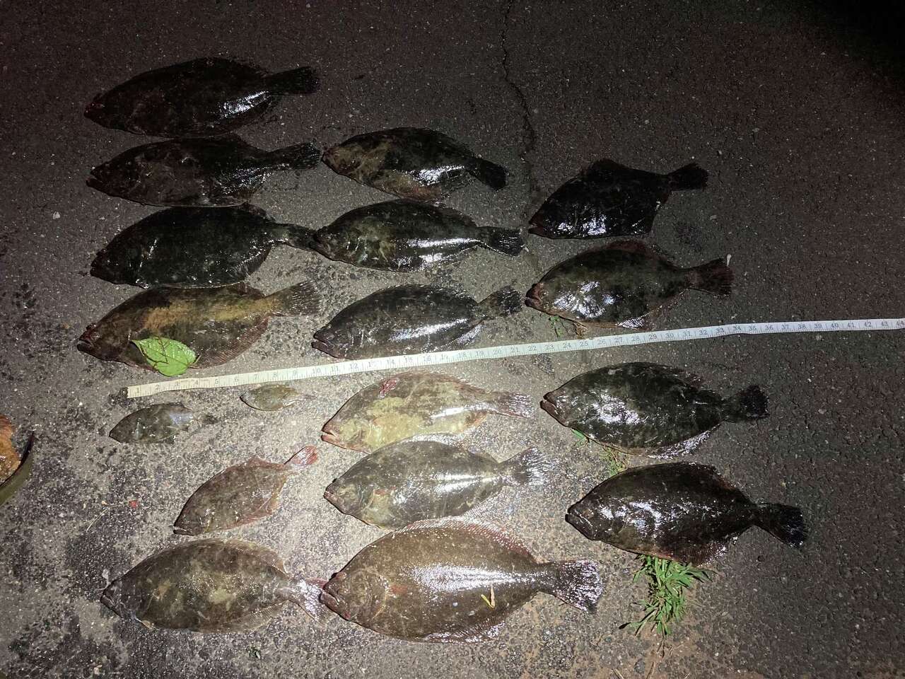 officers-seize-165-fish-shellfish-in-illegal-fishing-crackdown-at-west