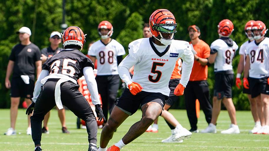 Fantasy football early-round wide receiver debate: Tee Higgins vs. Garrett Wilson