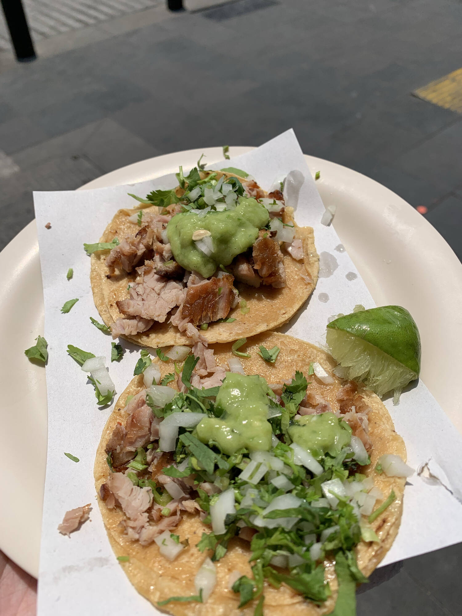 Couple sets out for tacos and ends up with 8 new cats instead