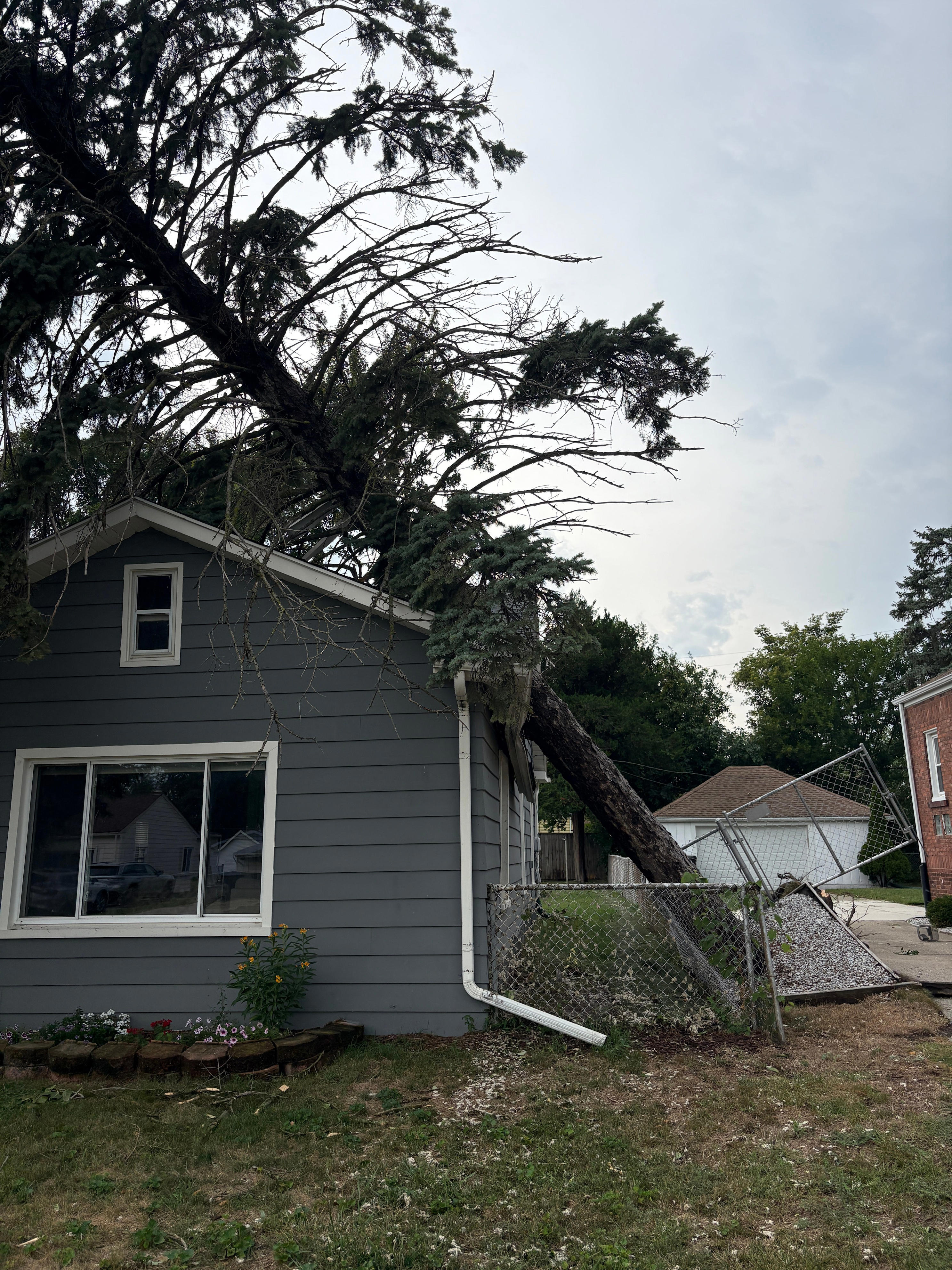Metro Detroit sees outages, trees down after storms Wednesday