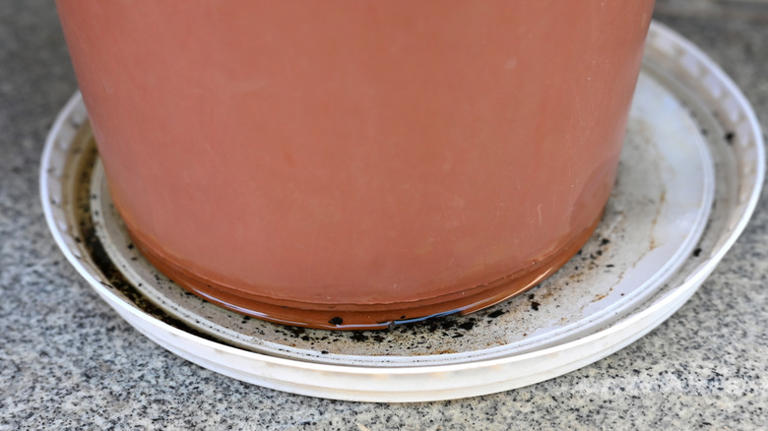 Don't toss old lids from jars & containers, reuse them for a clever ...