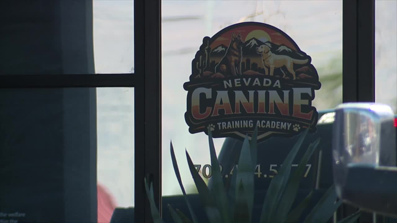 New dog training business approved at location tied to animal cruelty case