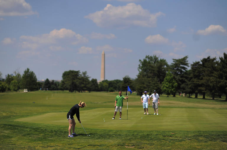 Tree-cutting equipment removed from East Potomac Park Golf Course