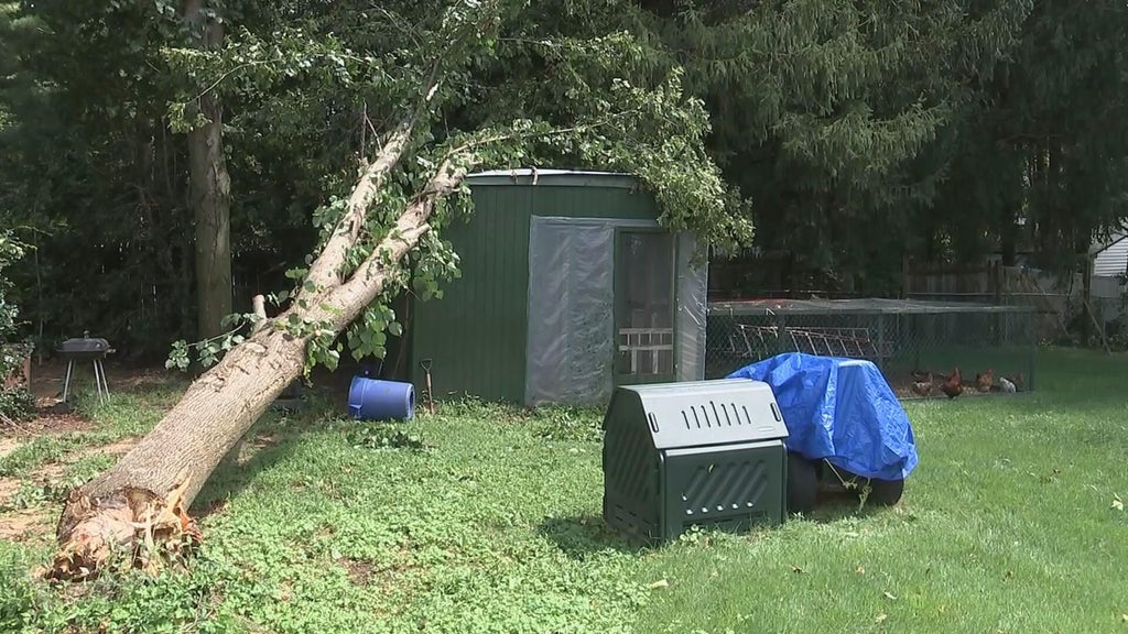 Storm damage cleanup pushes 1st day of school in Mantua Township, NJ., to next week