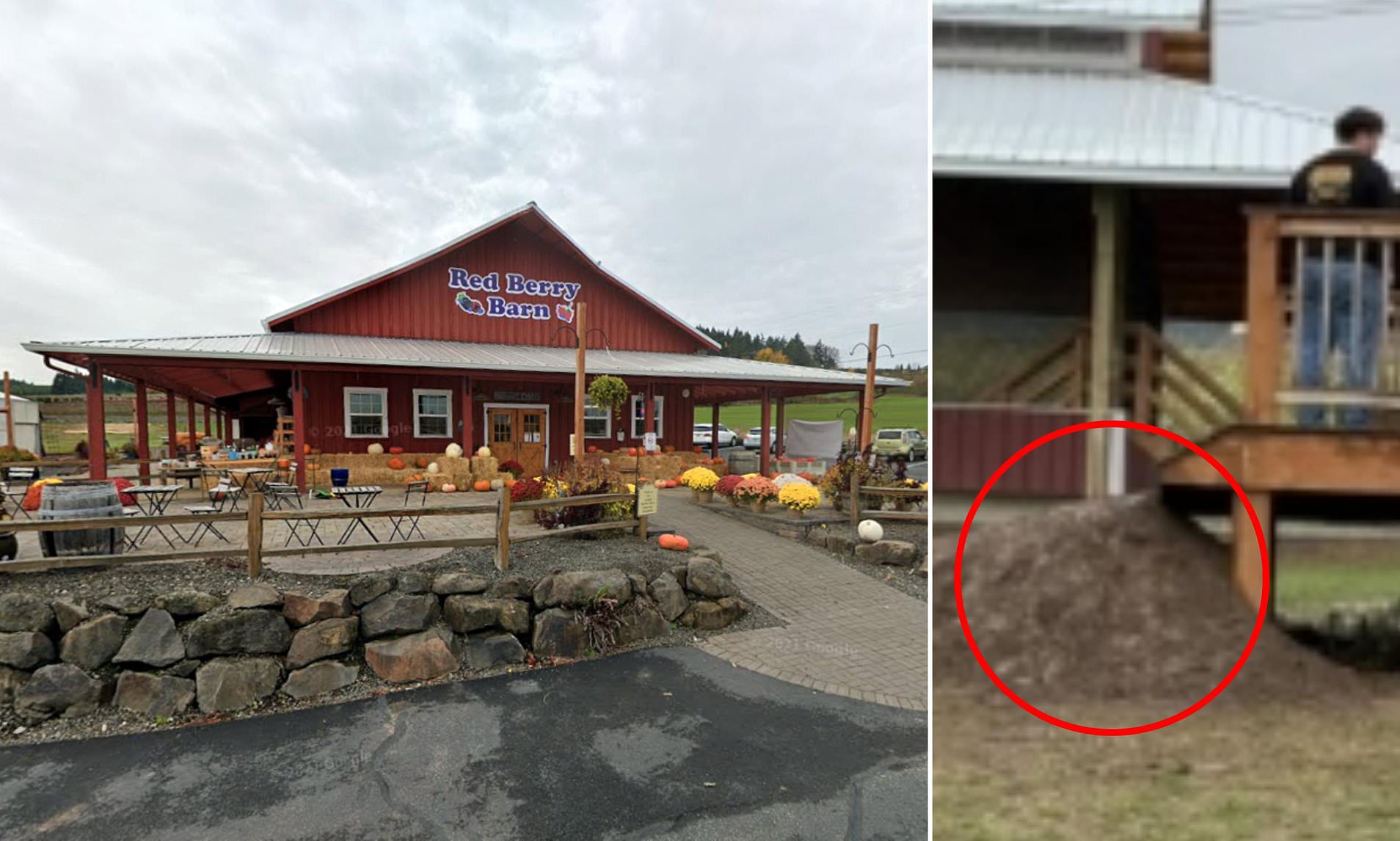 Oregon mom sues family-run pumpkin patch for $2.2M after she slipped down muddy track