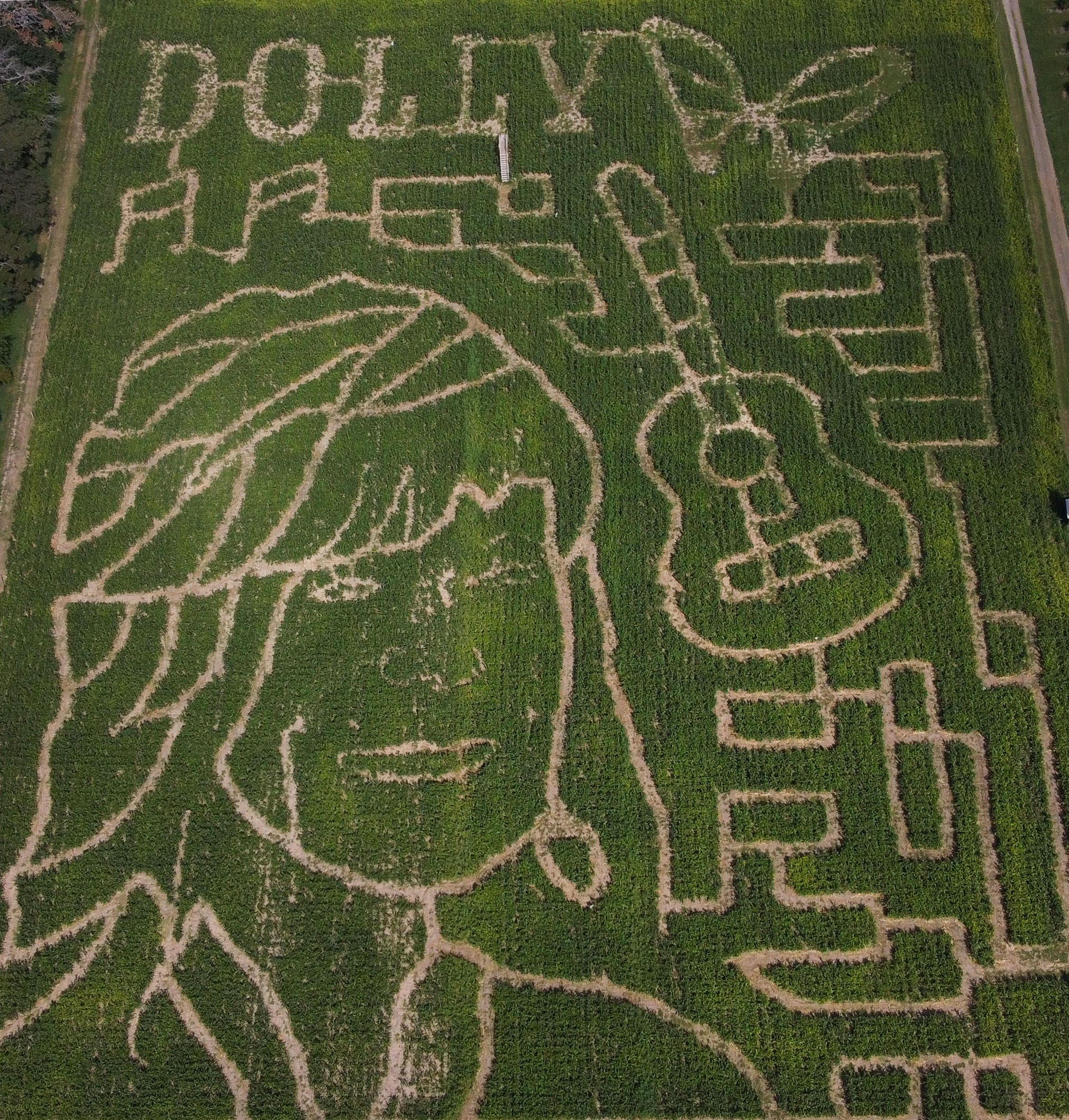 How a West Michigan corn maze became a Dolly Parton memorial