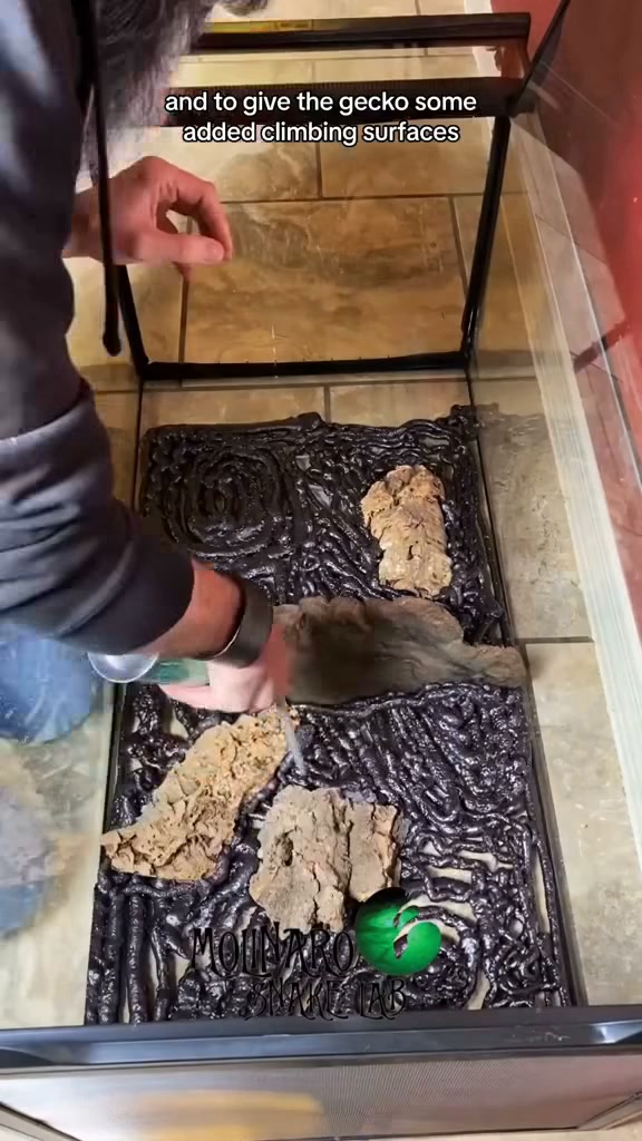 Building a custom snake enclosure!
