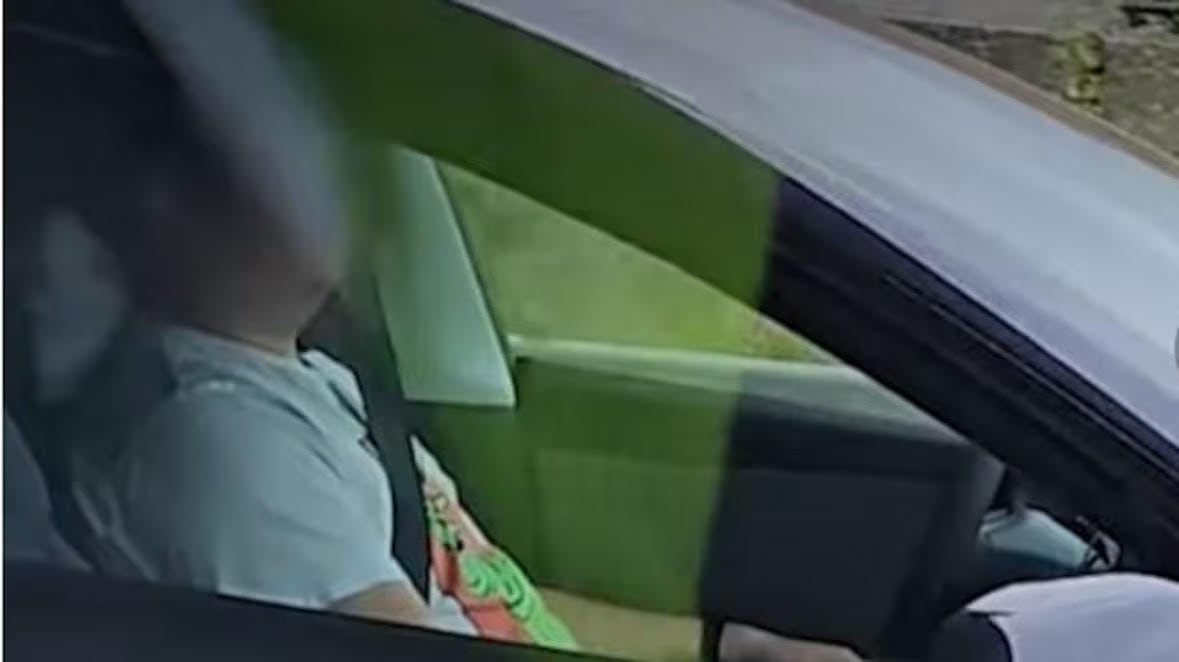 4 BC Tesla drivers caught sleeping behind the wheel