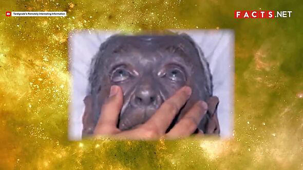 The Fugates suffered from methaemoglobinaemia
