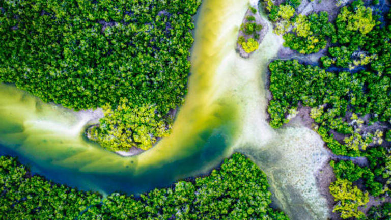 End of the world: Scientists reveal 7 countries most likely to survive a global collapse by maintaining society and food production