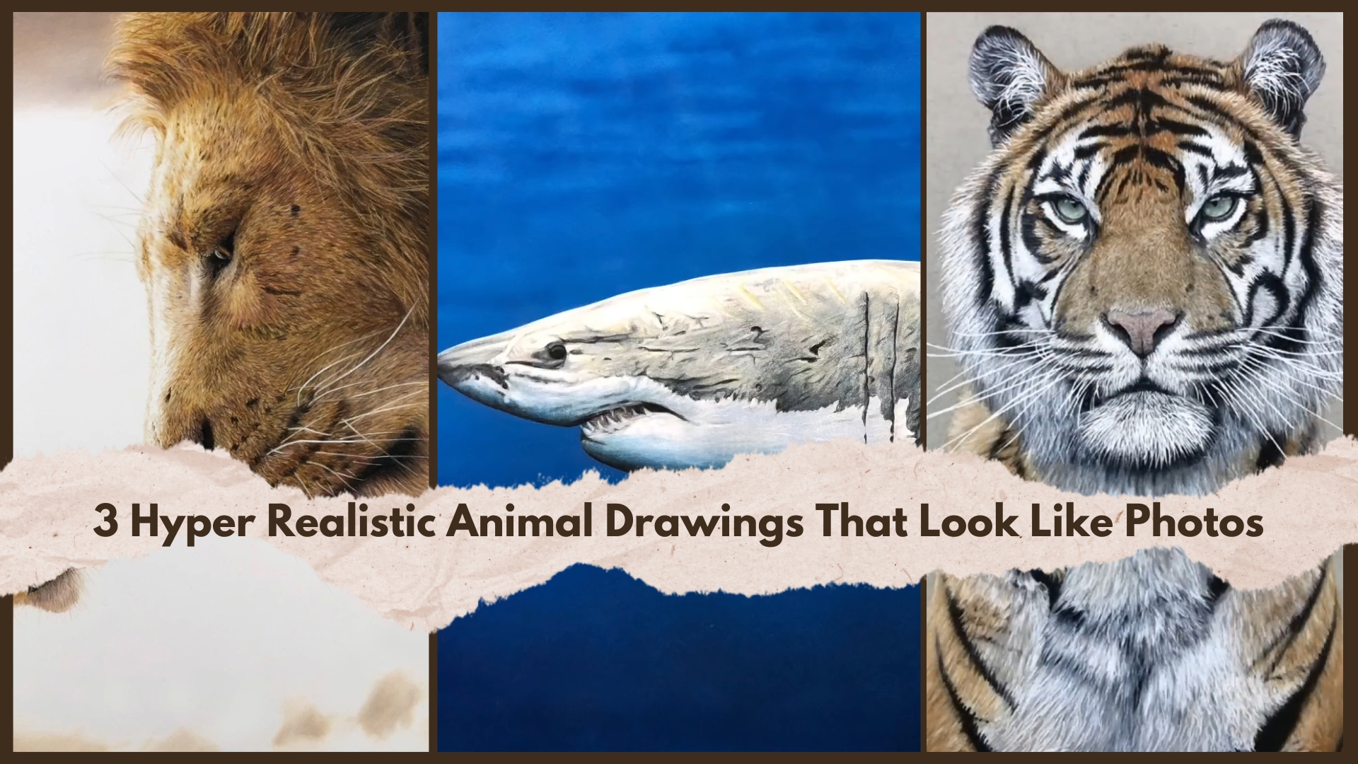 3 hyper realistic animal drawings that look like photos