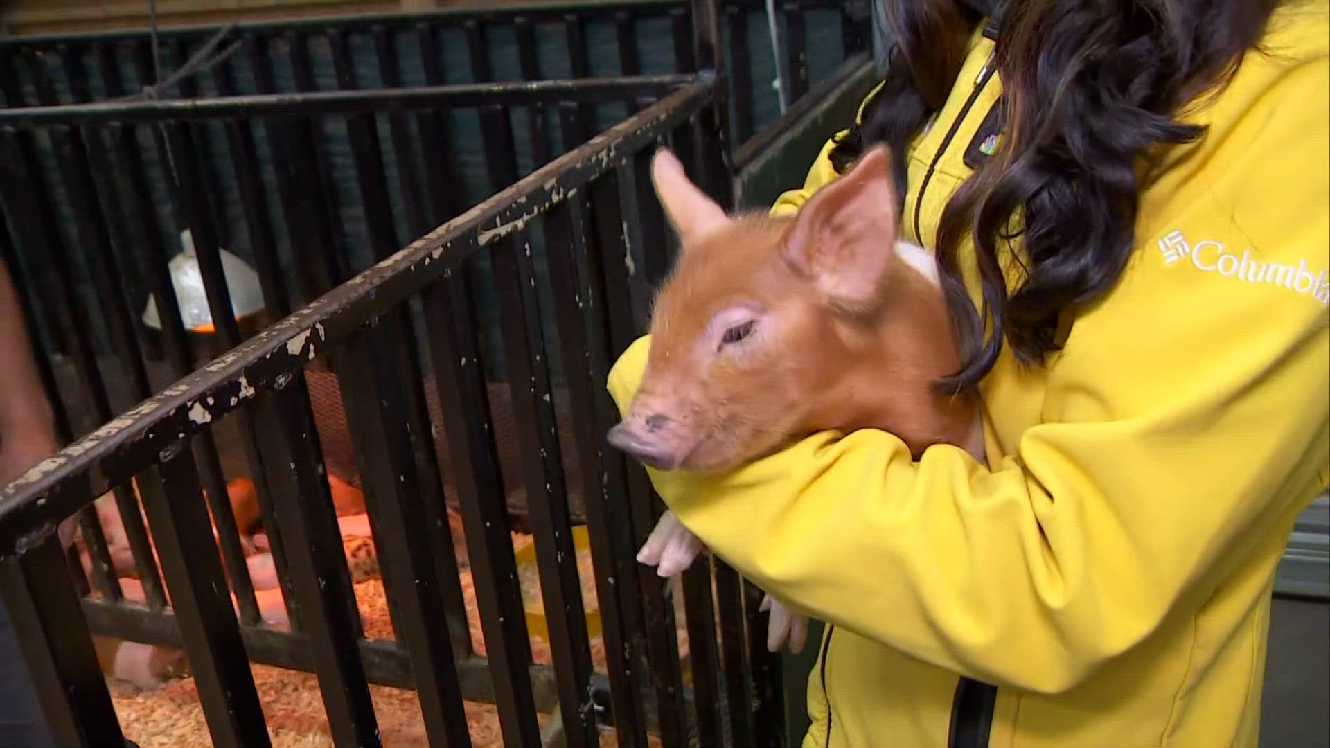 Washington State Fair kicks off in Puyallup