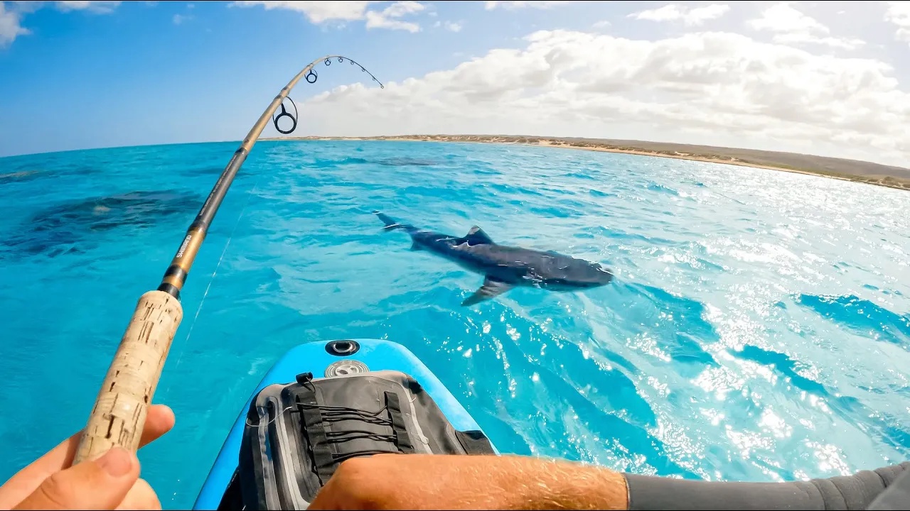 He was fishing from an inflatable paddle board... then sharks ...