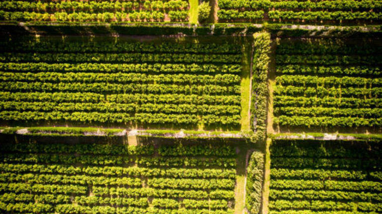 End of the world: Scientists reveal 7 countries most likely to survive a global collapse by maintaining society and food production