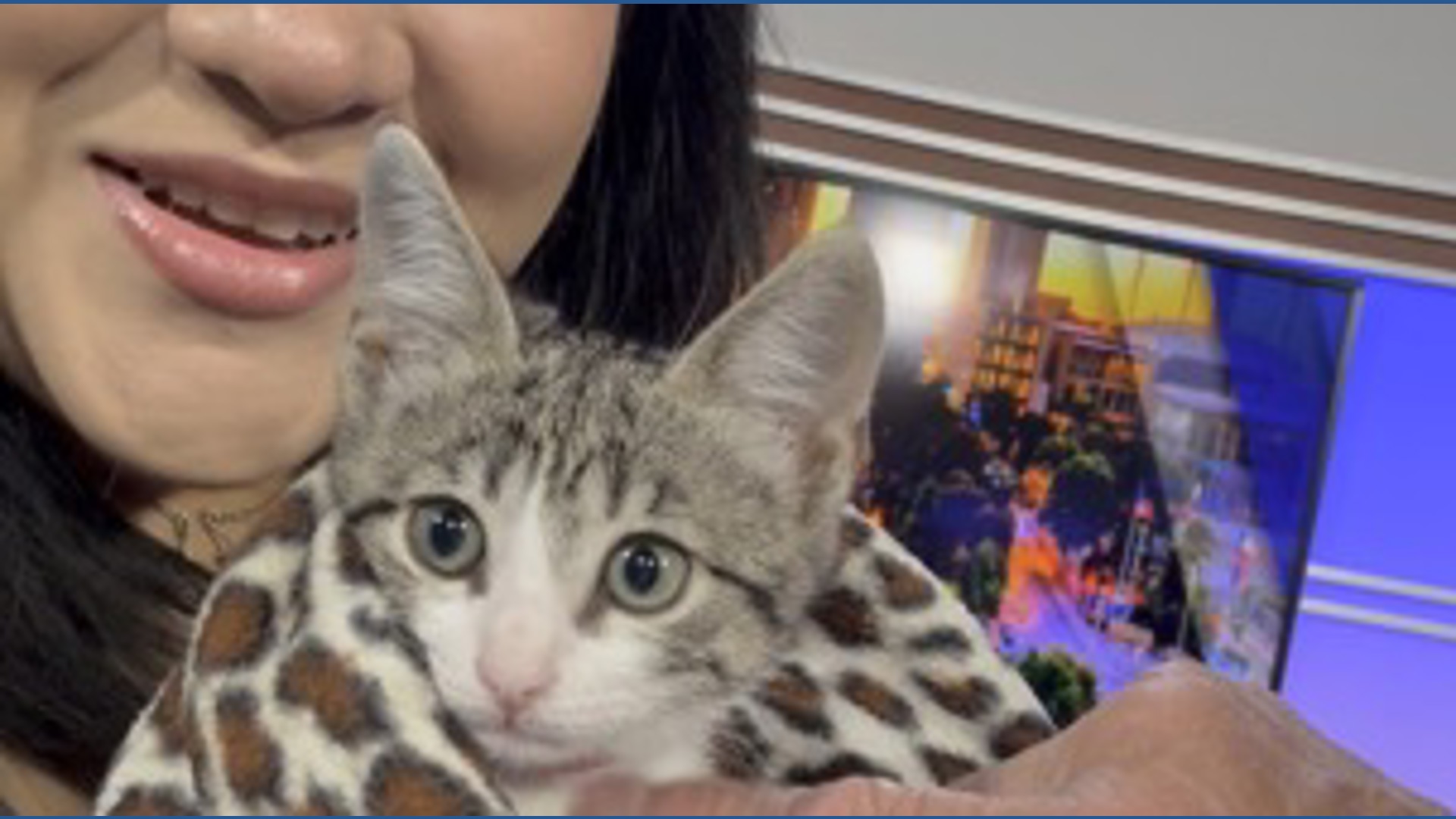 San Antonio Humane Society pet of the week