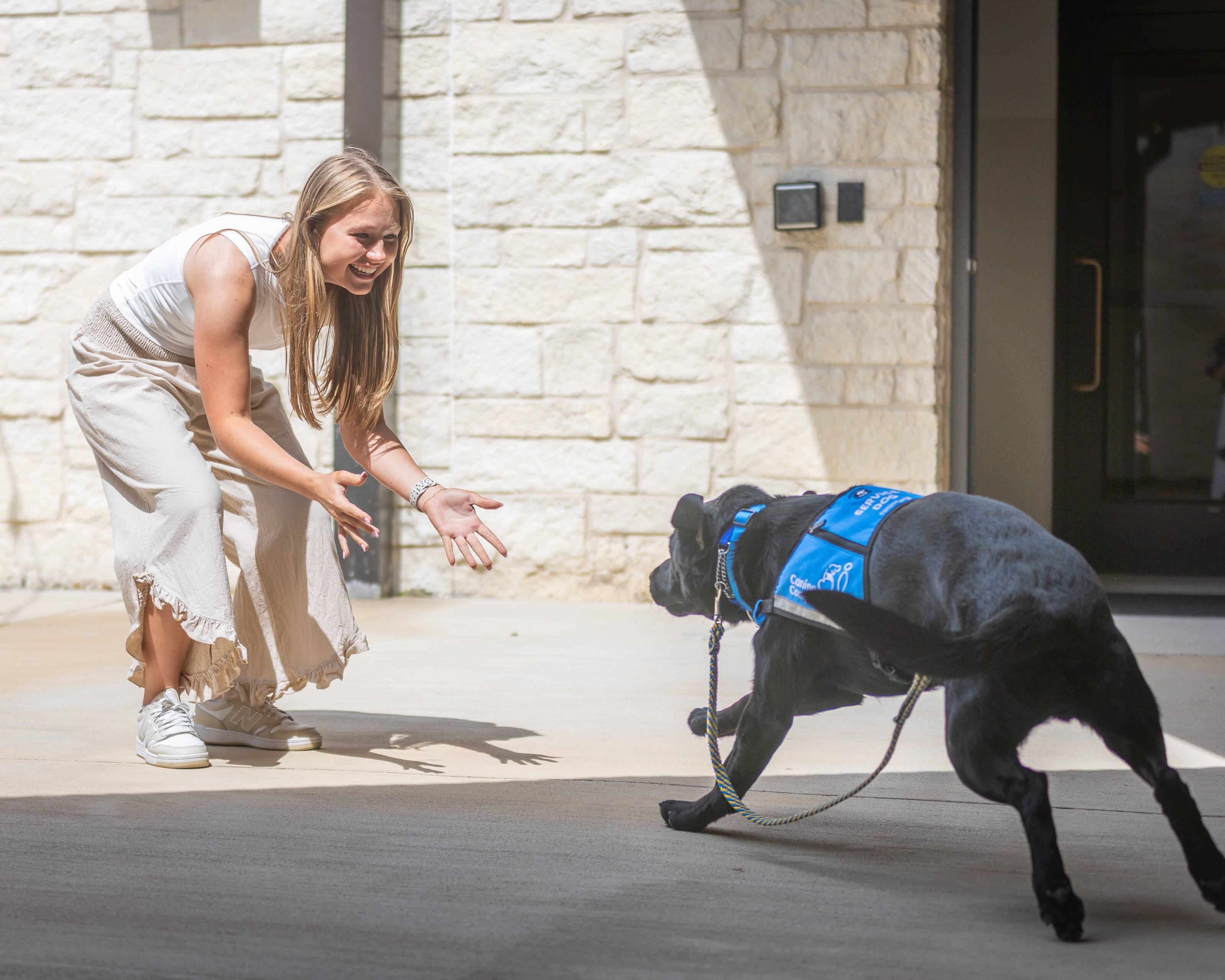 Service dogs reunite with the people who raised them right before they graduate