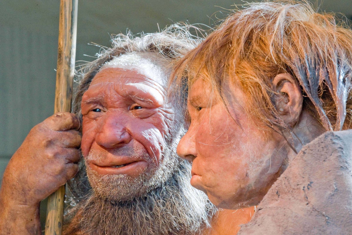 Voices: Why do we kiss? I have the answer we've spent 16.9m years looking for