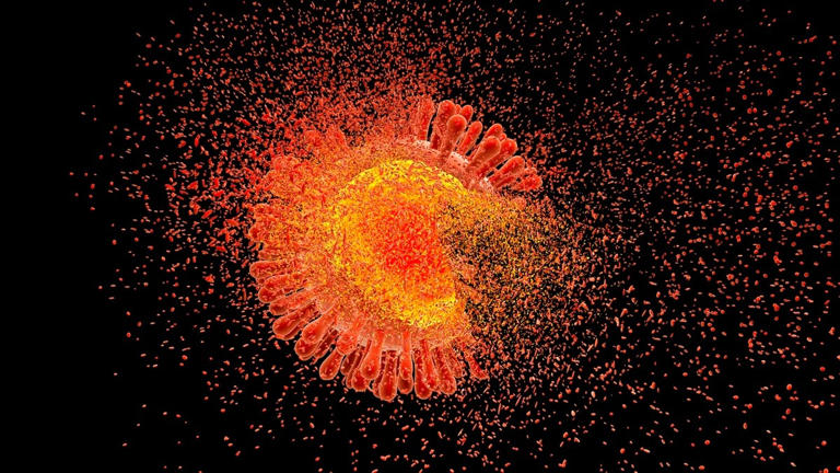 Engineering bird flu, altering chikungunya: Was Claude tasked to ...
