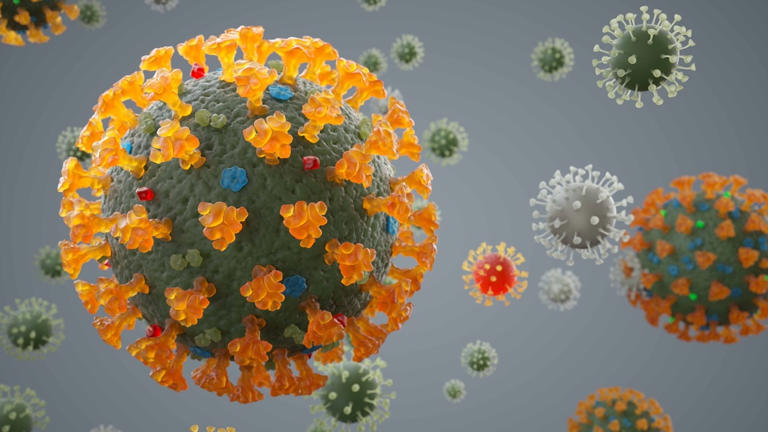 Engineering bird flu, altering chikungunya: Was Claude tasked to ...