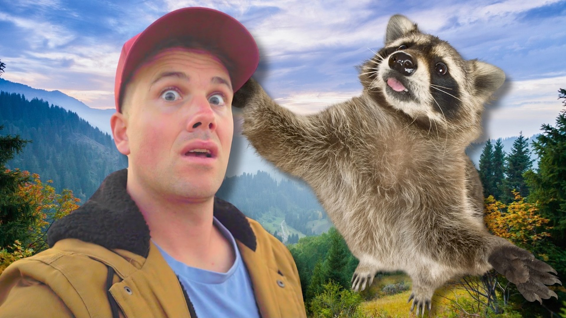 Camping gone wrong: Raccoon vs. us!