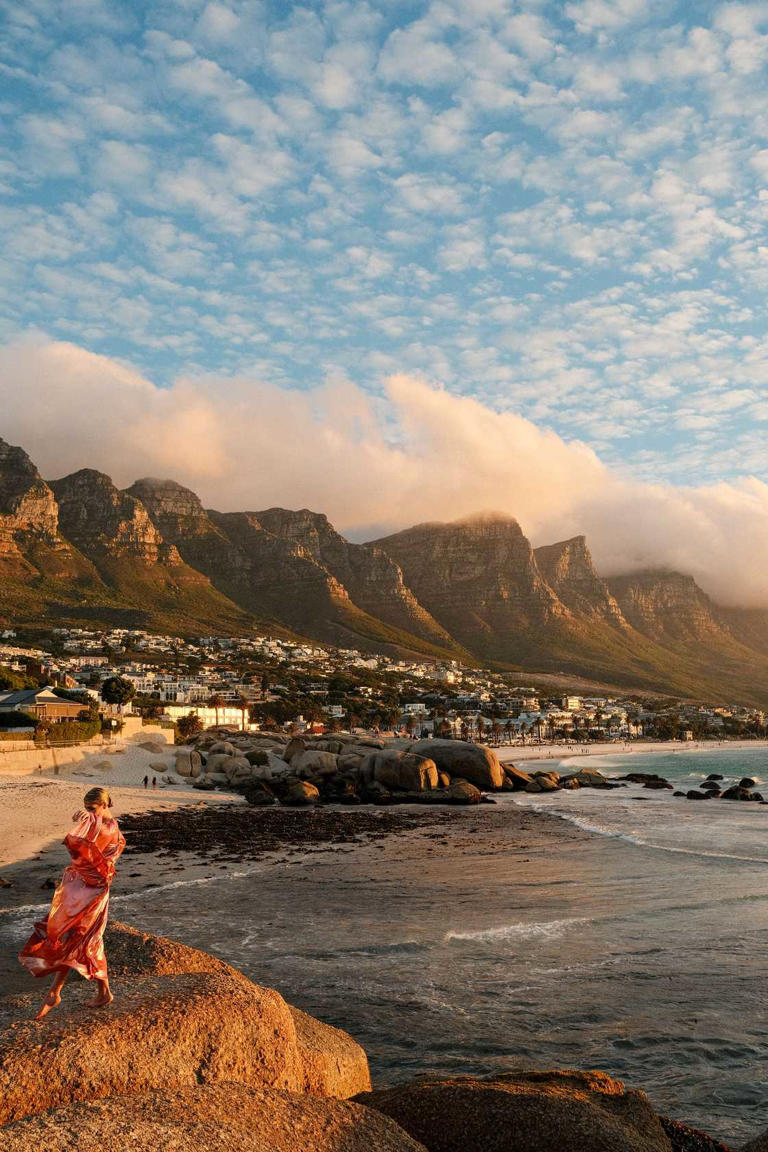 Urgent snake warning for Cape Town after 7 puff adders are found