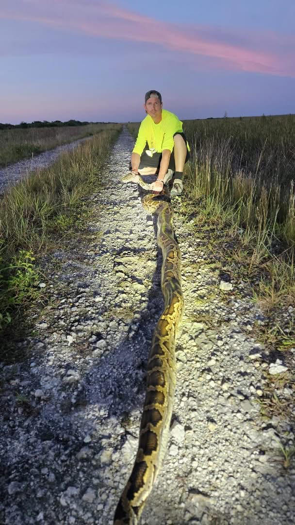 Python payday: Florida hunter snags top prize in snake competition