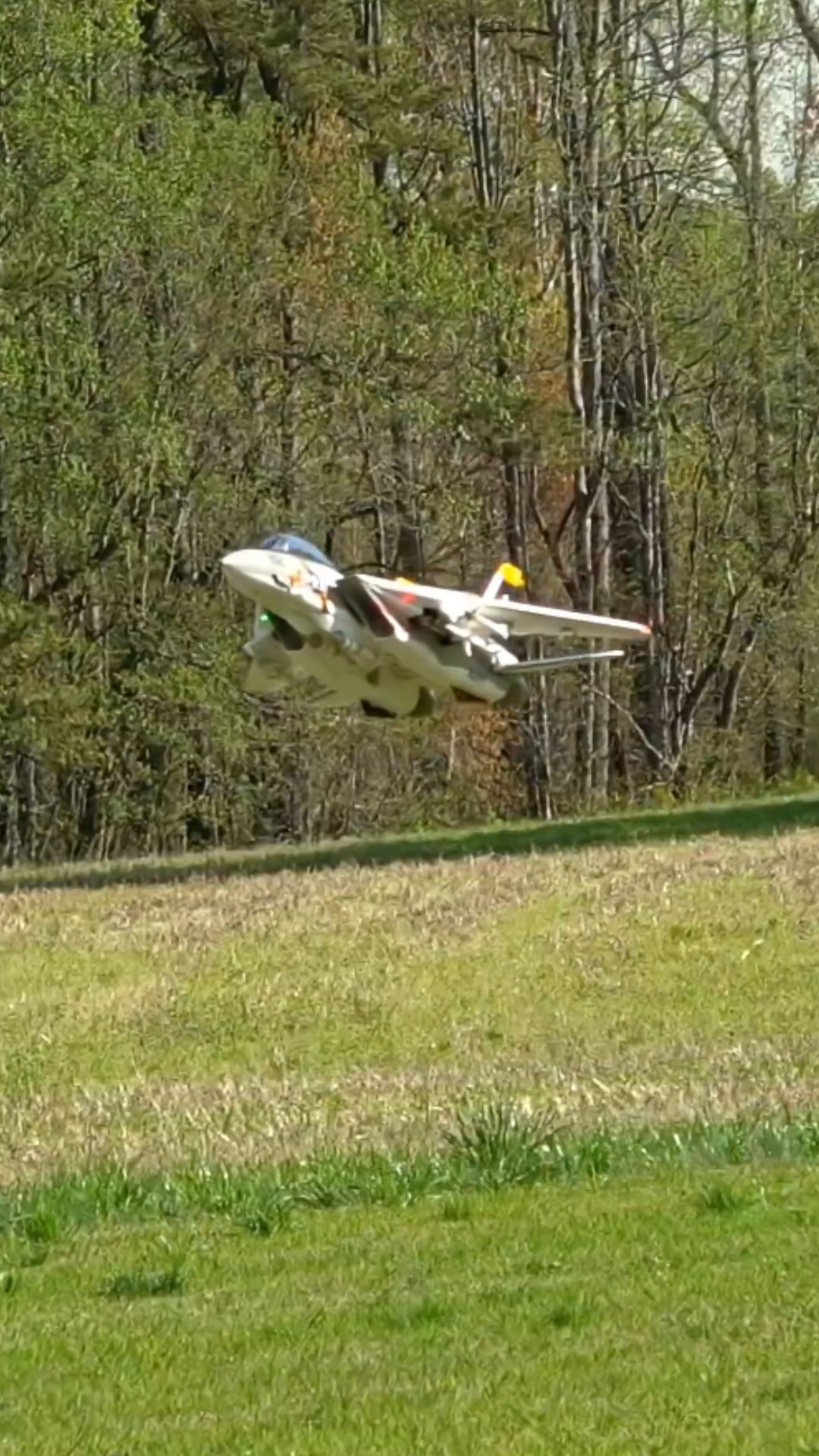 Watching an RC Tomcat master the high alpha maneuver