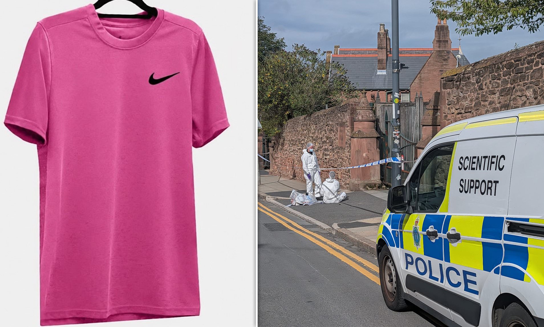 Detectives issue fresh appeal to identify body of 'murdered' woman in pink T-shirt dumped in park
