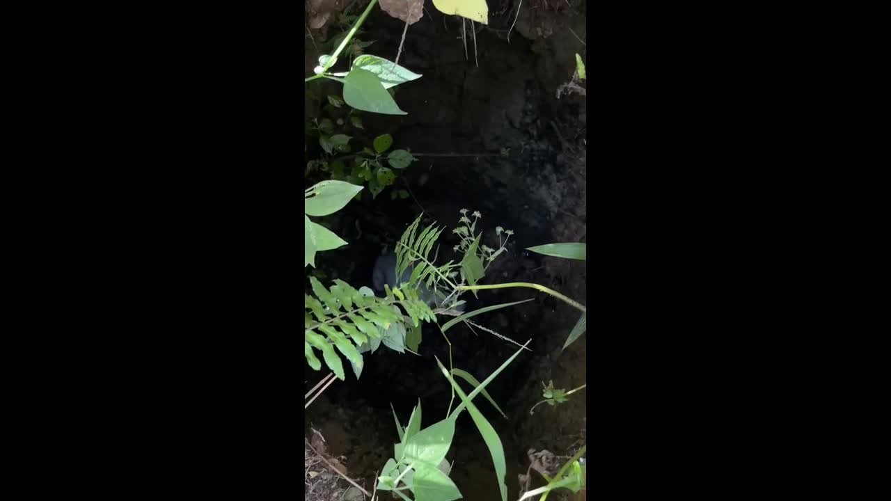 Kind soldiers rescue dog stuck at the bottom of hole