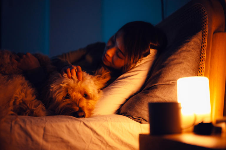 Should you let your dog sleep in your bed with you? According to a vet ...