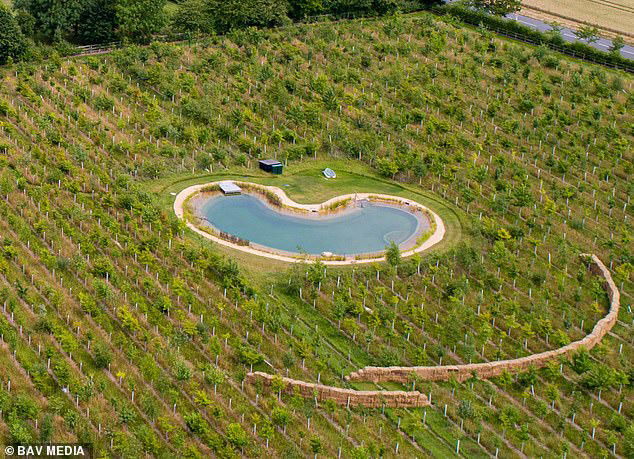 Ed Sheeran is granted permission to build another wildlife pond ...