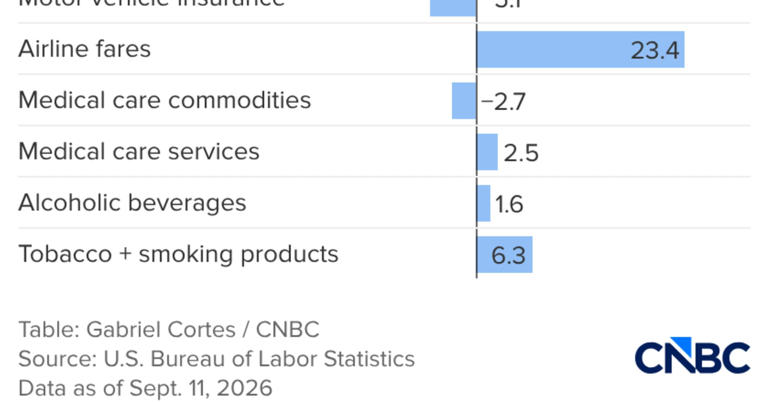 Here’s the inflation breakdown for August 2026 — in one chart
