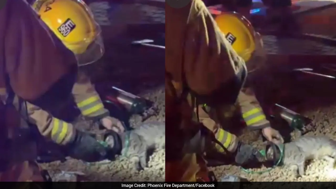 Firefighters rescue cat from burning Arizona home, give oxygen using ...