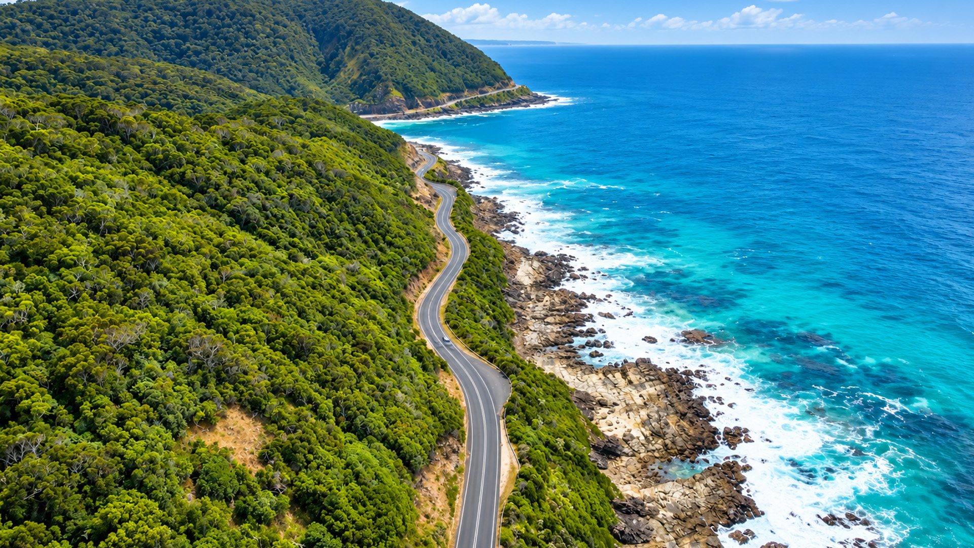 A coastal road squeezed between forest and ocean