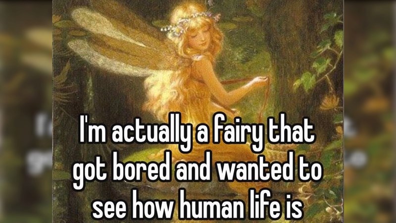 27 Tinkerbell memes to feel whimsical instead of dealing with your problems