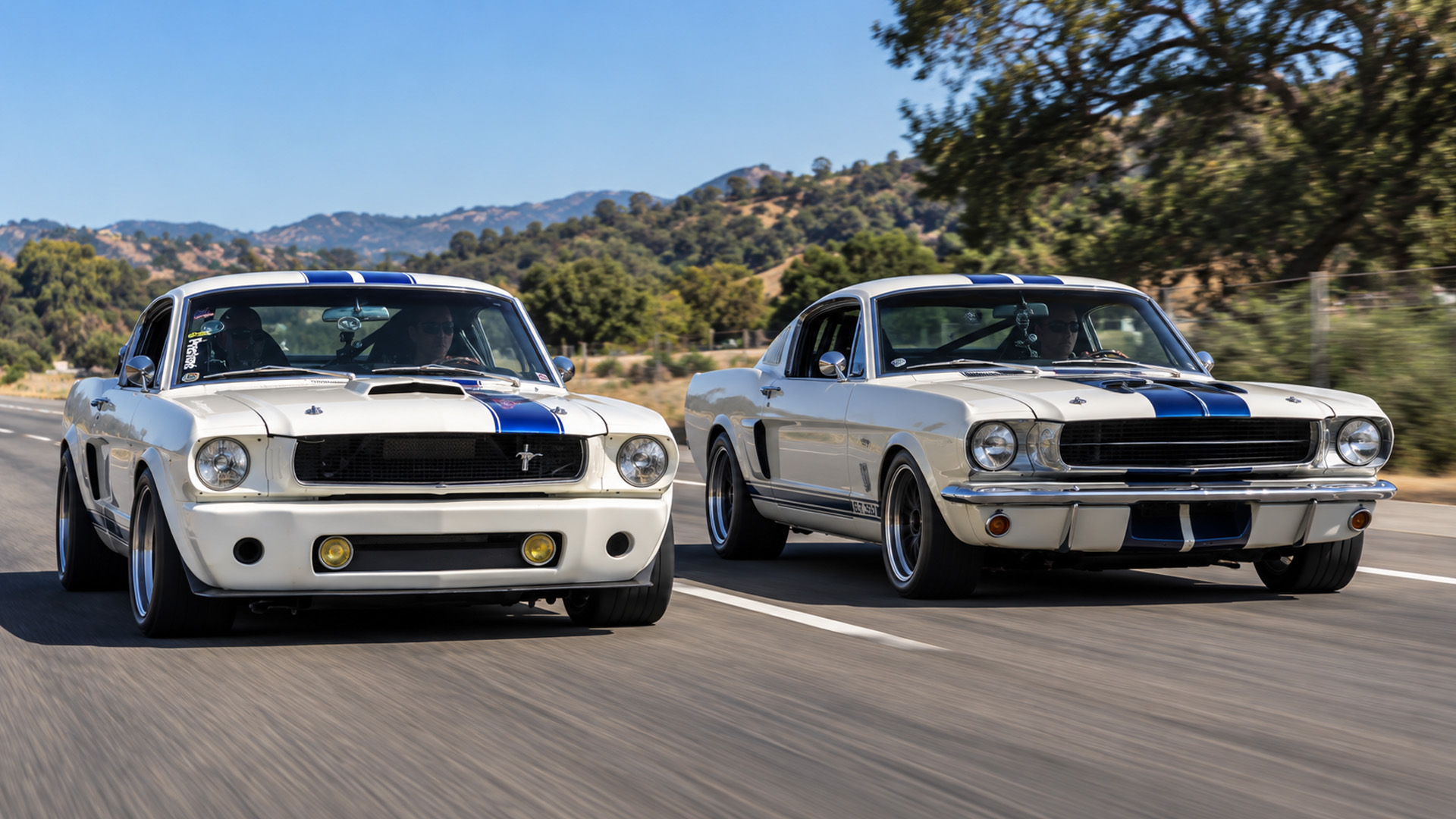 Which build stands out more GT350 or Pro Touring Mustang?