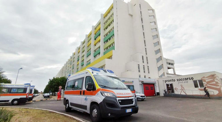 Casi di febbre West Nile, donna in ospedale: il Comune dirama l’allerta ...