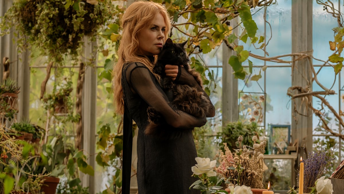 Is ‘Practical Magic 2’ streaming? Where to watch Sandra Bullock ...